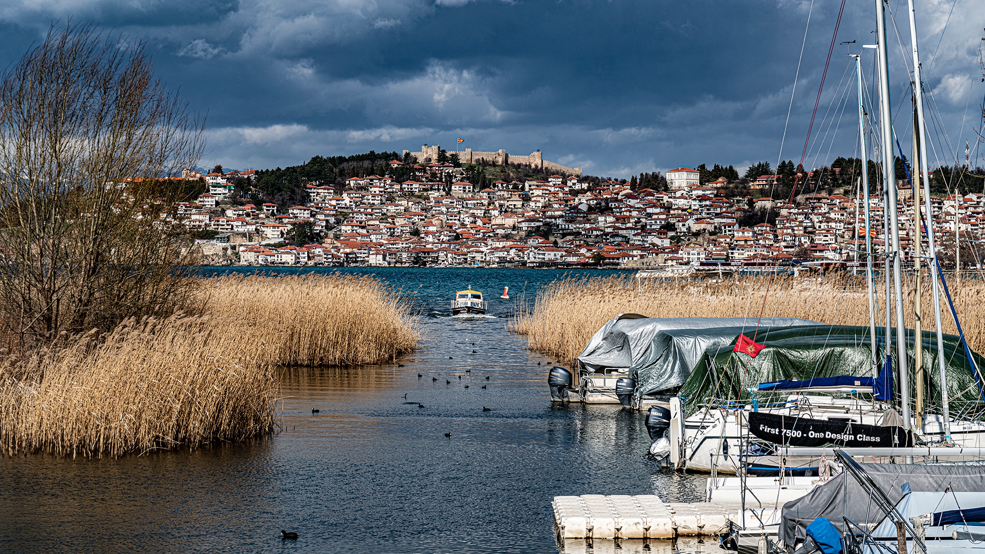 ДИЖС: Впишувањето на Охридското Езеро и Студенчишкото Блато на Светска Рамсарската листа значи препознавање на богатиот биодиверзитет и поодговорно управување