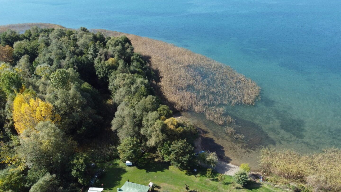 Објавен документарен филм за значењето на трската во Охридското Езеро