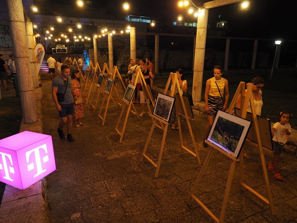 Продолжува Фестивалот на водени спортови Ohrid water festival