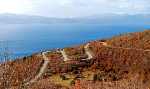 На сила е целосната забрана за движење во шумите и шумското земјиште