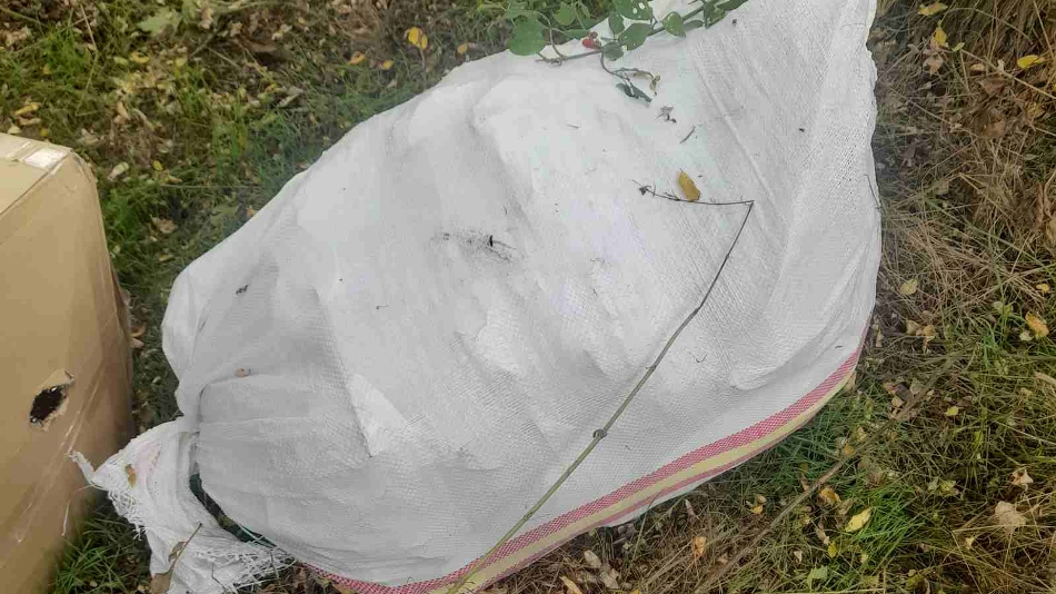 Пронајдени над 50 килограми марихуана во Демирхисарско, приведено лице од струшко Калишта