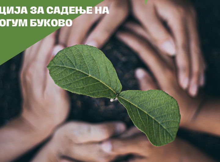 Еко акција на иницијативата „Збогум Буково“ за засадување садници