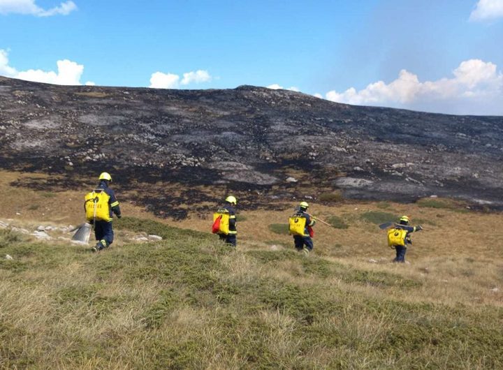 Продолжен јавниот повик за ангажирање невработени лица за заштита и превенција од пожари и заштита и оплеменување на животната средина