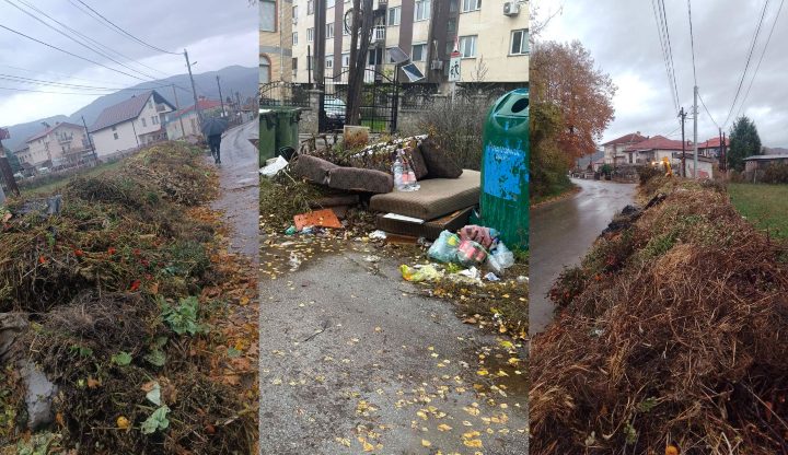 Повторно расчистени диви депонии од зелен и кабаст отпад