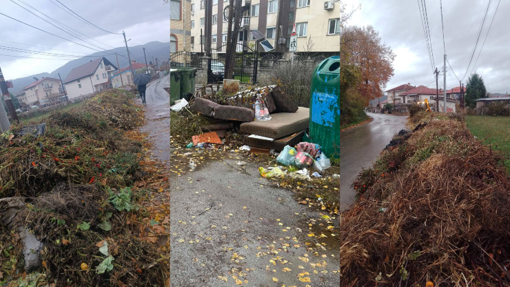 Повторно расчистени диви депонии од зелен и кабаст отпад