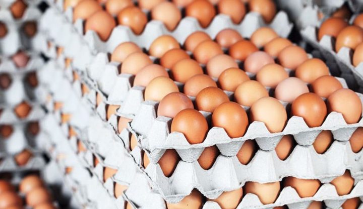 АХВ со засилени контроли во пресрет на велигденските празници