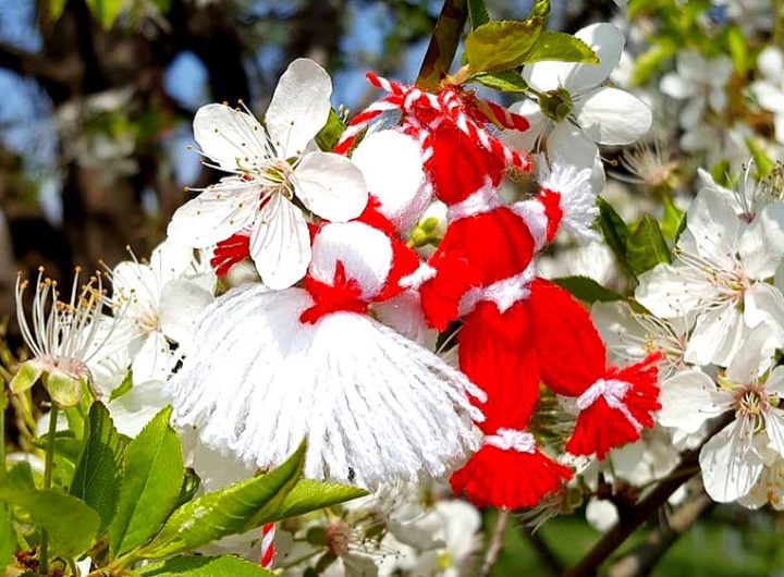 Утре е Летник: Тоа што ќе го правите утре, ќе го правите цело лето