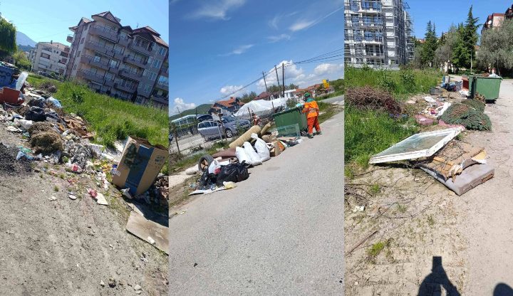 Повторно мапирани диви депонии во населбите Воска и Даљан, подигнати 55 м³ кабаст и зелен отпад