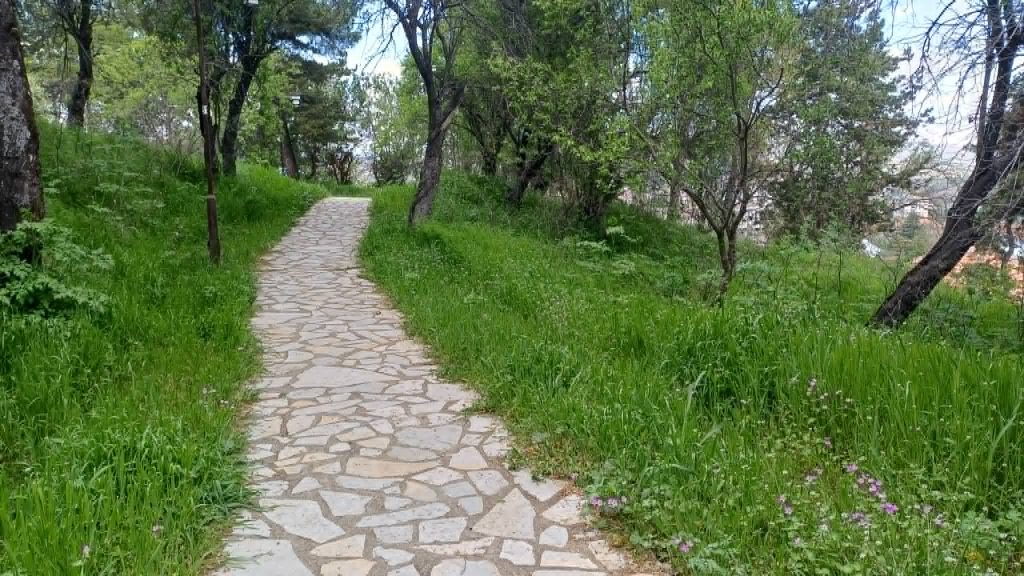 Граѓаните со апел навремено да се одржува зеленилото долж  патеката Канео-Плаошник-Лабино (Фото)