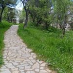 Граѓаните со апел навремено да се одржува зеленилото долж  патеката Канео-Плаошник-Лабино (Фото)