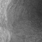 Куна белка (Martes foina) – нов евидентиран посетител во Лескоечка Пештера